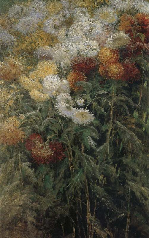 Gustave Caillebotte The chrysanthemum in the garden China oil painting art